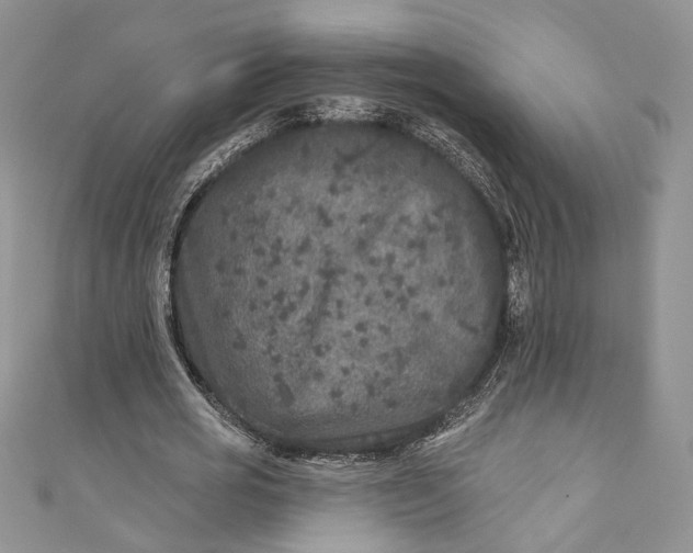 X0000110880725200907021456