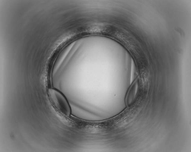 X0000110880728200907021456