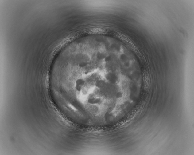 X0000110880729200907021456