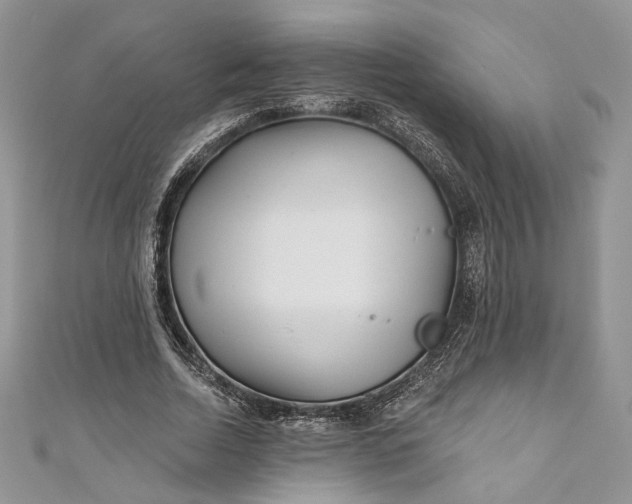 X0000110880730200907021456
