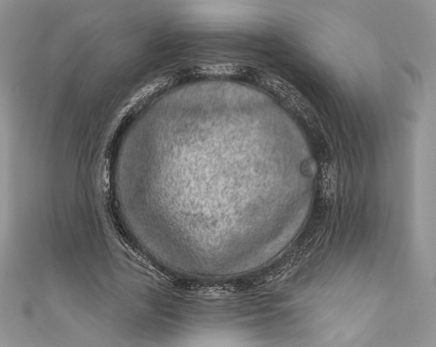 X0000110880731200907021456