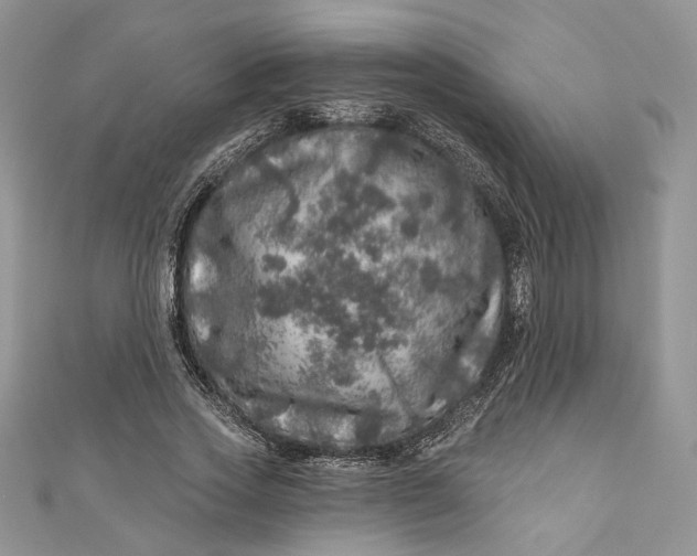 X0000110880733200907021456