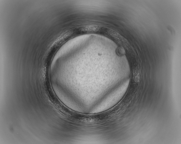 X0000110880735200907021456