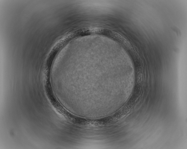 X0000110880736200907021456
