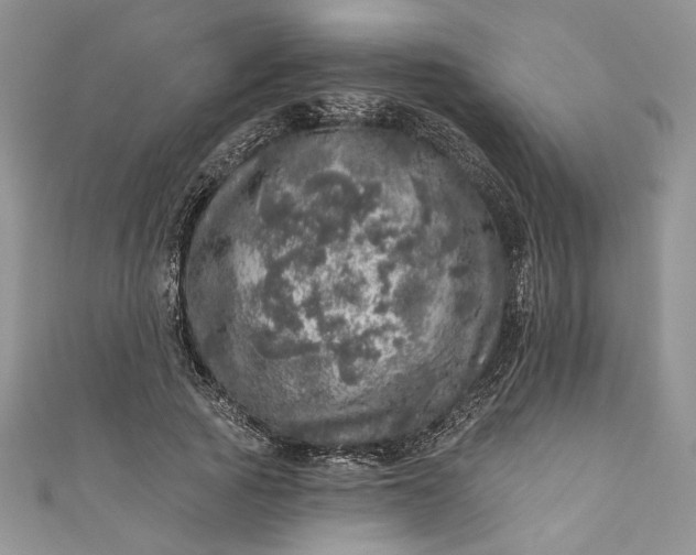 X0000110880737200907021456
