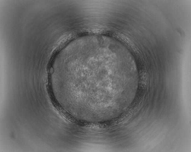 X0000110880738200907021456