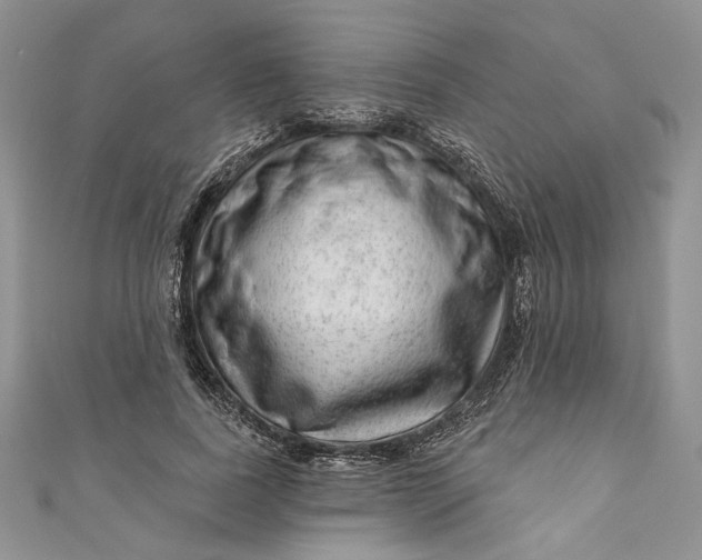 X0000110880739200907021456