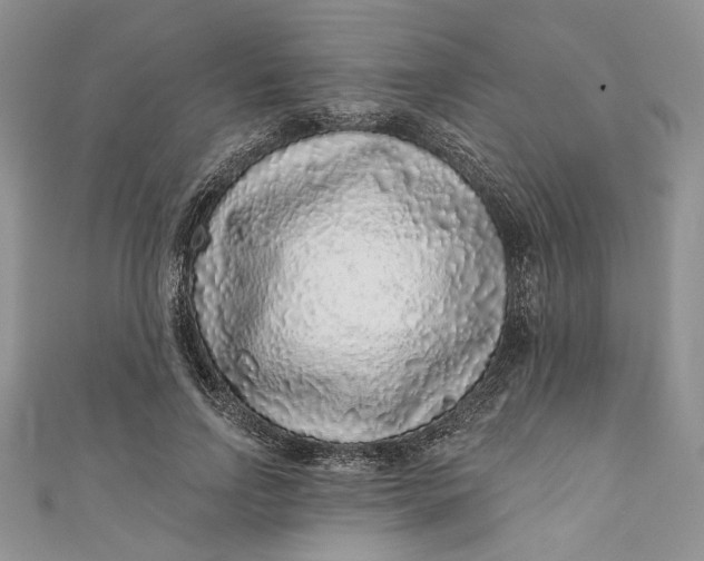 X0000110880742200907021456