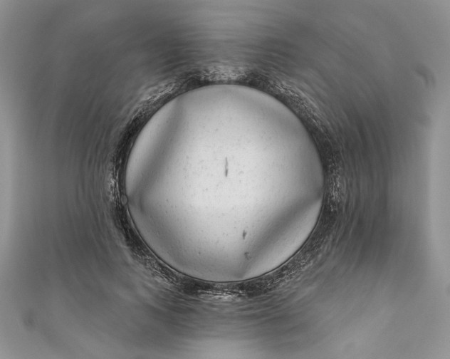 X0000110880743200907021457