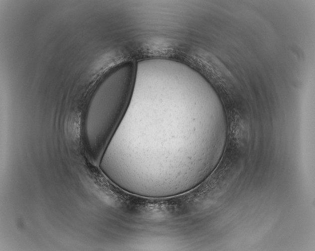 X0000110880744200907021457