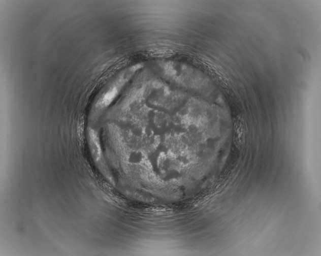 X0000110880745200907021457