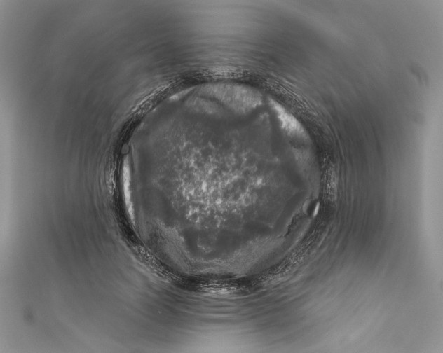 X0000110880746200907021457
