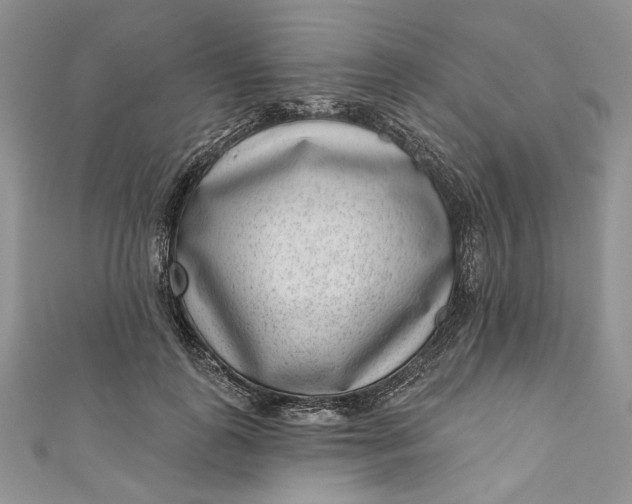 X0000110880747200907021457