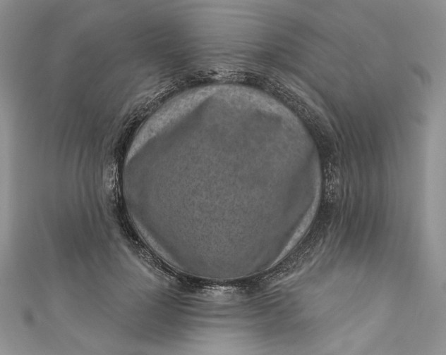 X0000110880748200907021457