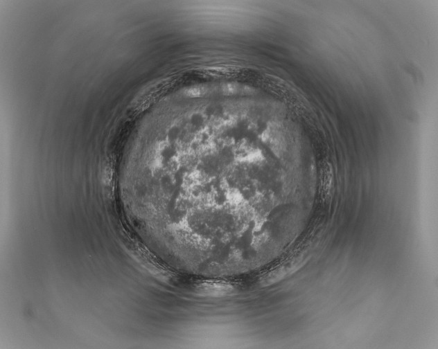 X0000110880749200907021457