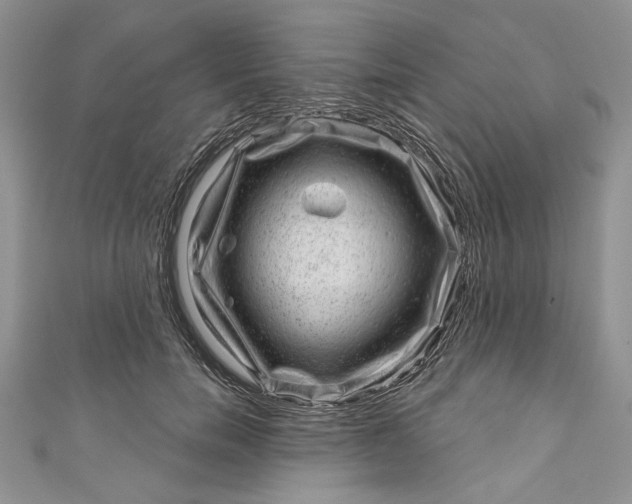 X0000110880750200907021457