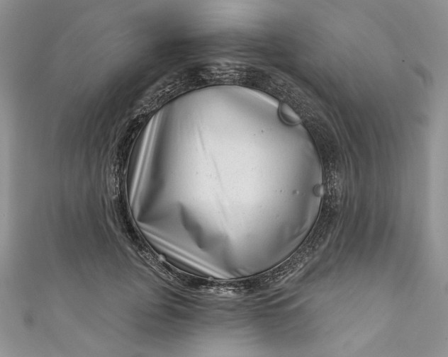 X0000110880751200907021457