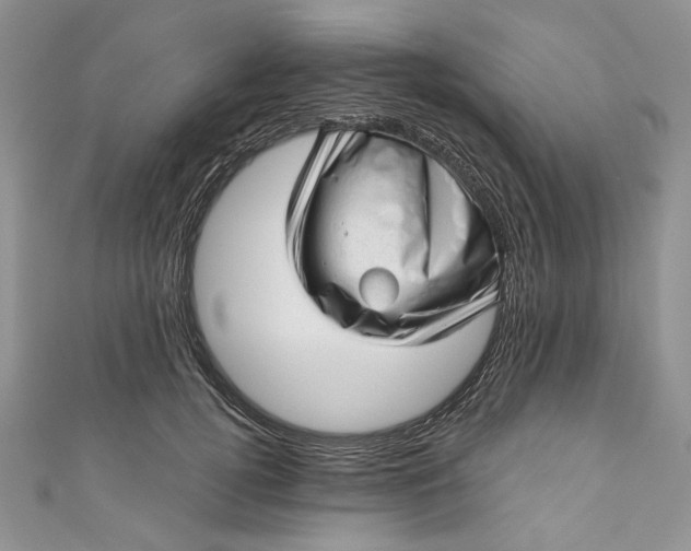 X0000110880752200907021457