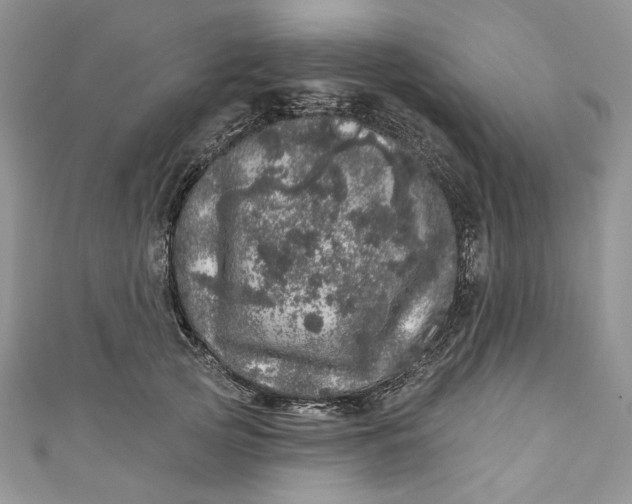 X0000110880753200907021457