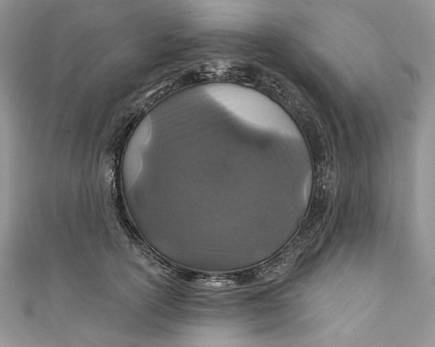 X0000110880754200907021457