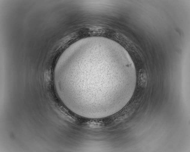X0000110880756200907021457