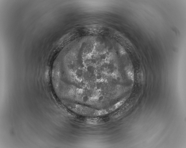 X0000110880757200907021457