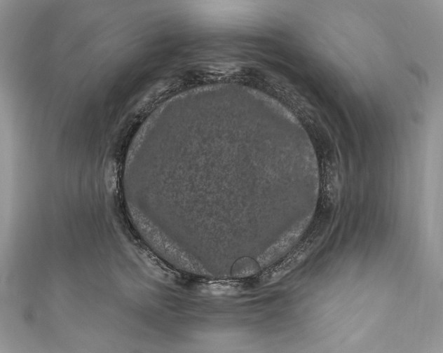 X0000110880758200907021457