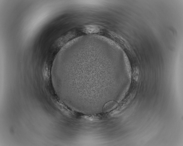 X0000110880763200907021457