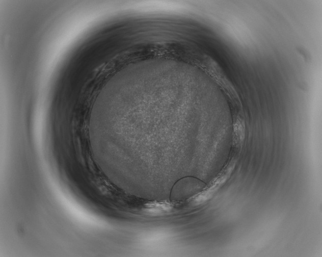 X0000110880765200907021457
