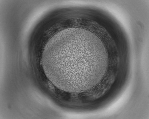 X0000110880766200907021457