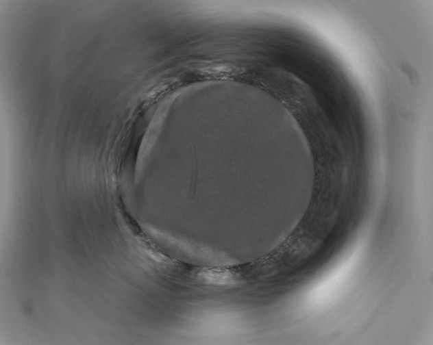 X0000110880767200907021457