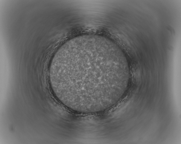 X0000110880769200907021456