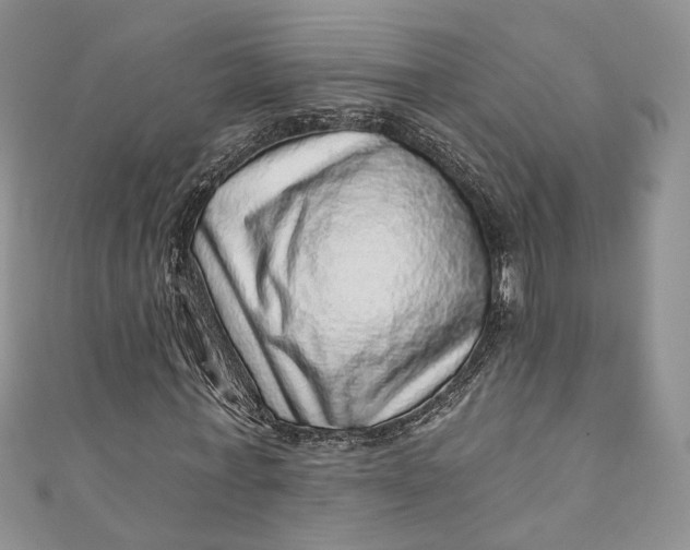 X0000110880771200907021456