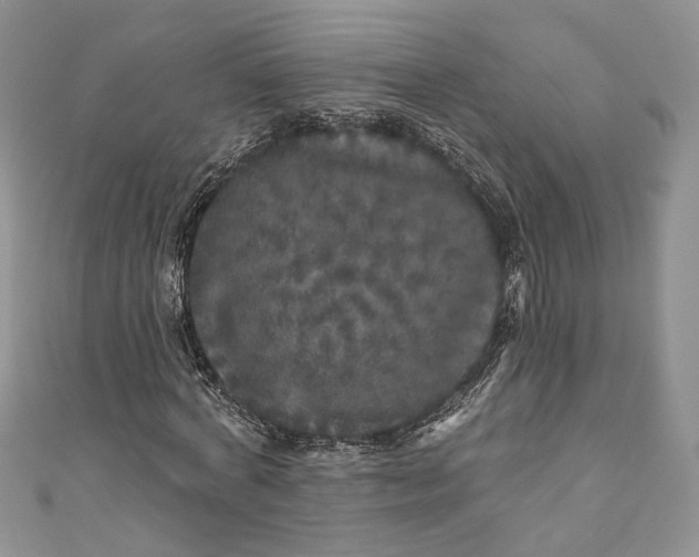 X0000110880772200907021456