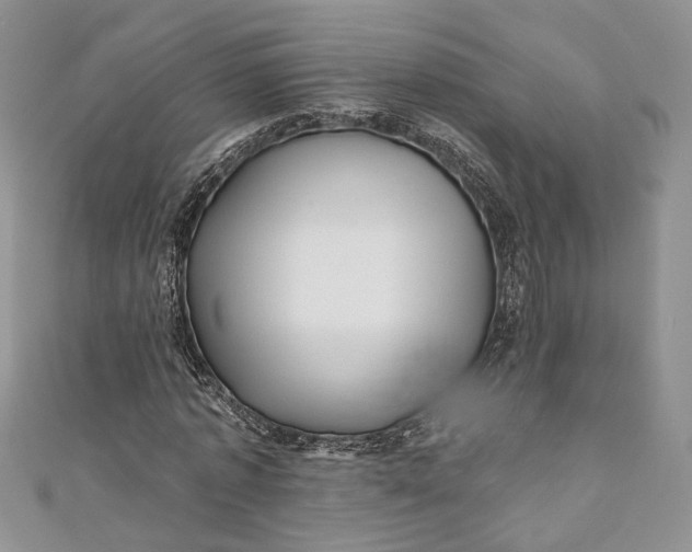 X0000110880773200907021456