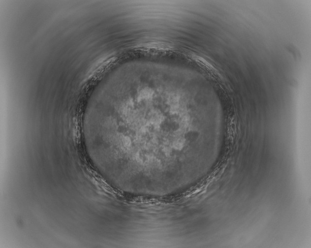 X0000110880774200907021456