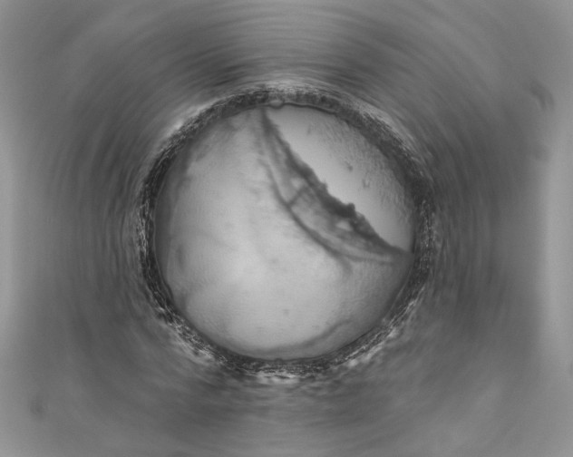X0000110880776200907021456