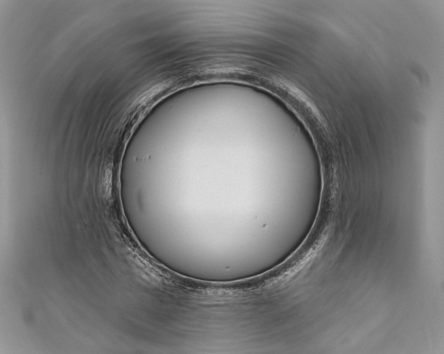 X0000110880777200907021456