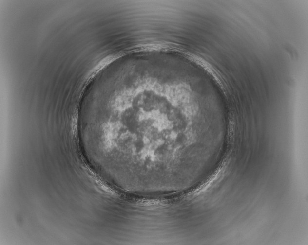 X0000110880778200907021456
