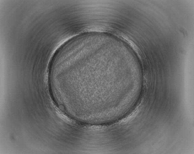 X0000110880779200907021456