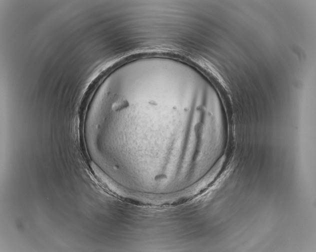 X0000110880781200907021456