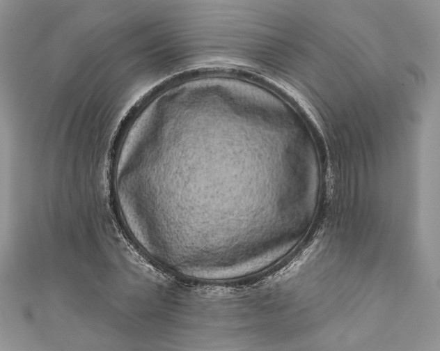 X0000110880783200907021456