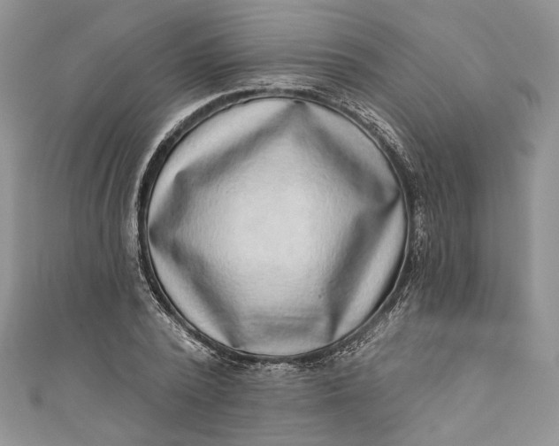 X0000110880784200907021456