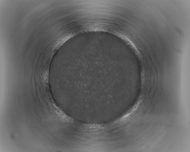 X0000110880785200907021456