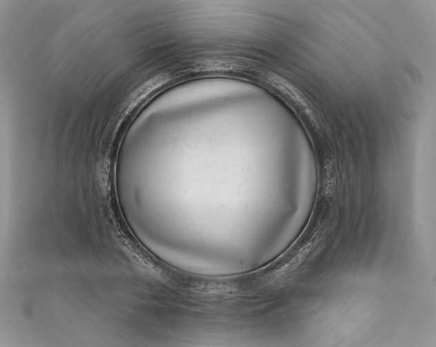 X0000110880786200907021456