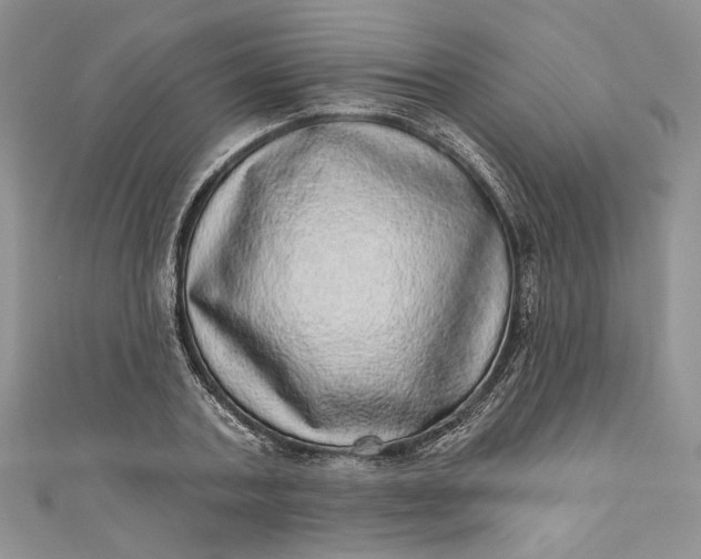 X0000110880787200907021456