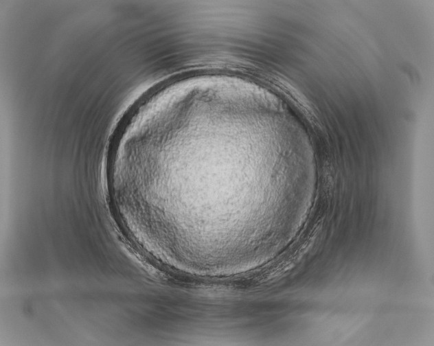X0000110880788200907021456