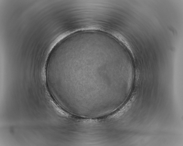X0000110880789200907021456