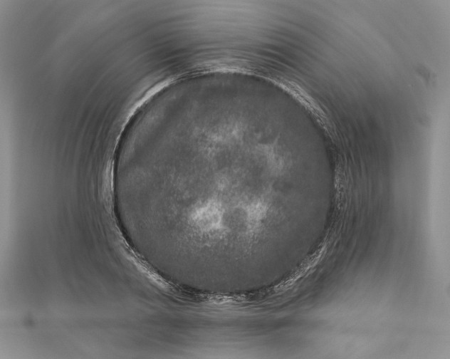 X0000110880790200907021456