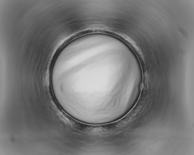 X0000110880791200907021456